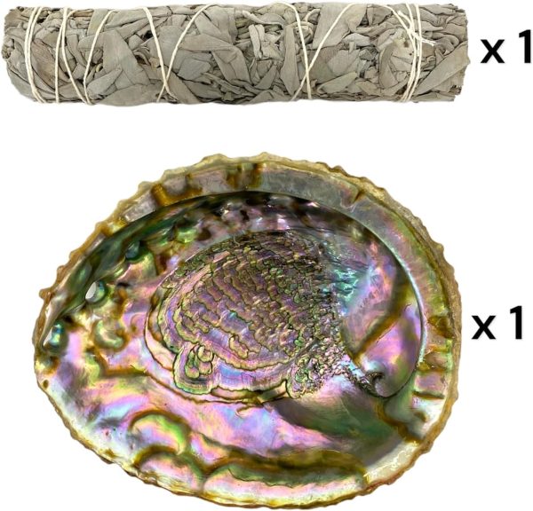 2 pc | Abalone Shell 6"-7" Inches & Tripod Stand 6 Inches | Beautiful All Natural Smudge Bowl - Perfect for Smudge Sticks, Incense Sticks and a Sage Smudge Kit. JC-213-B - Image 7