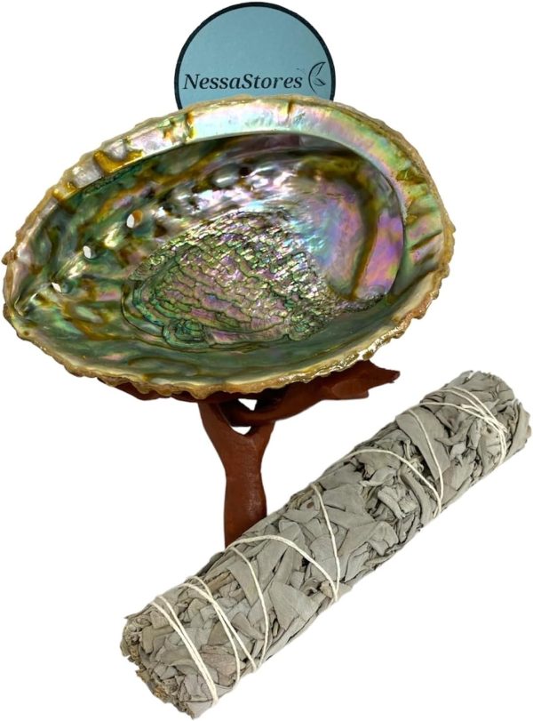 2 pc | Abalone Shell 6"-7" Inches & Tripod Stand 6 Inches | Beautiful All Natural Smudge Bowl - Perfect for Smudge Sticks, Incense Sticks and a Sage Smudge Kit. JC-213-B - Image 8