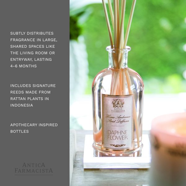 Antica Farmacista - Elderflower Home ambiance Diffuser - 3.4 Fl Oz - Image 149