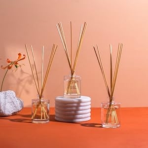 Brooklyn Candle Studio Reed Diffusers Lifestyle Image